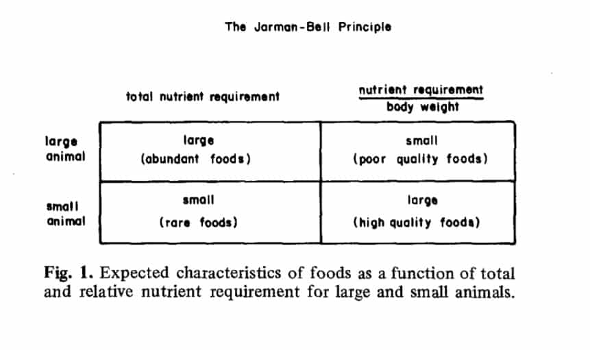 Jarman-Bell Principle