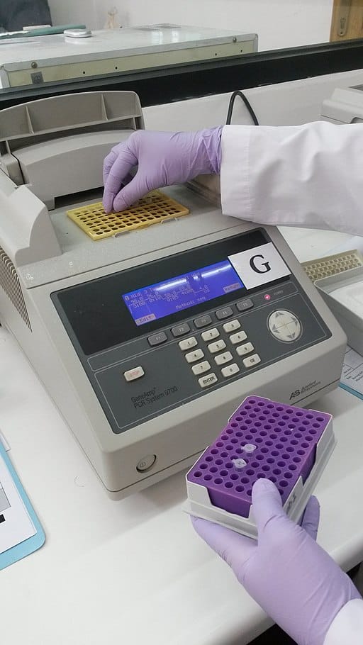 Loading Pcr Mixture To Thermocycler Machine