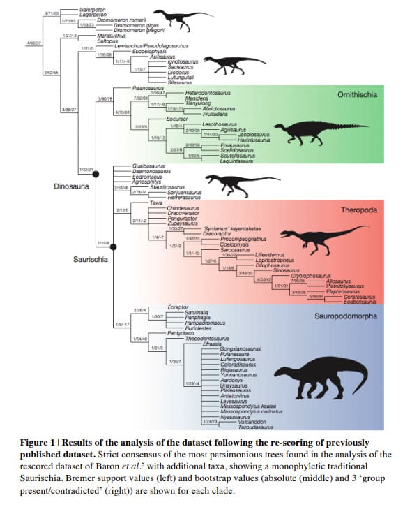 dinosaur classification chart
