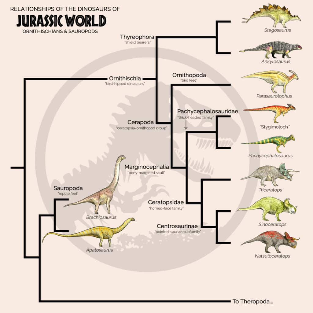 ornithischians and sauropods
